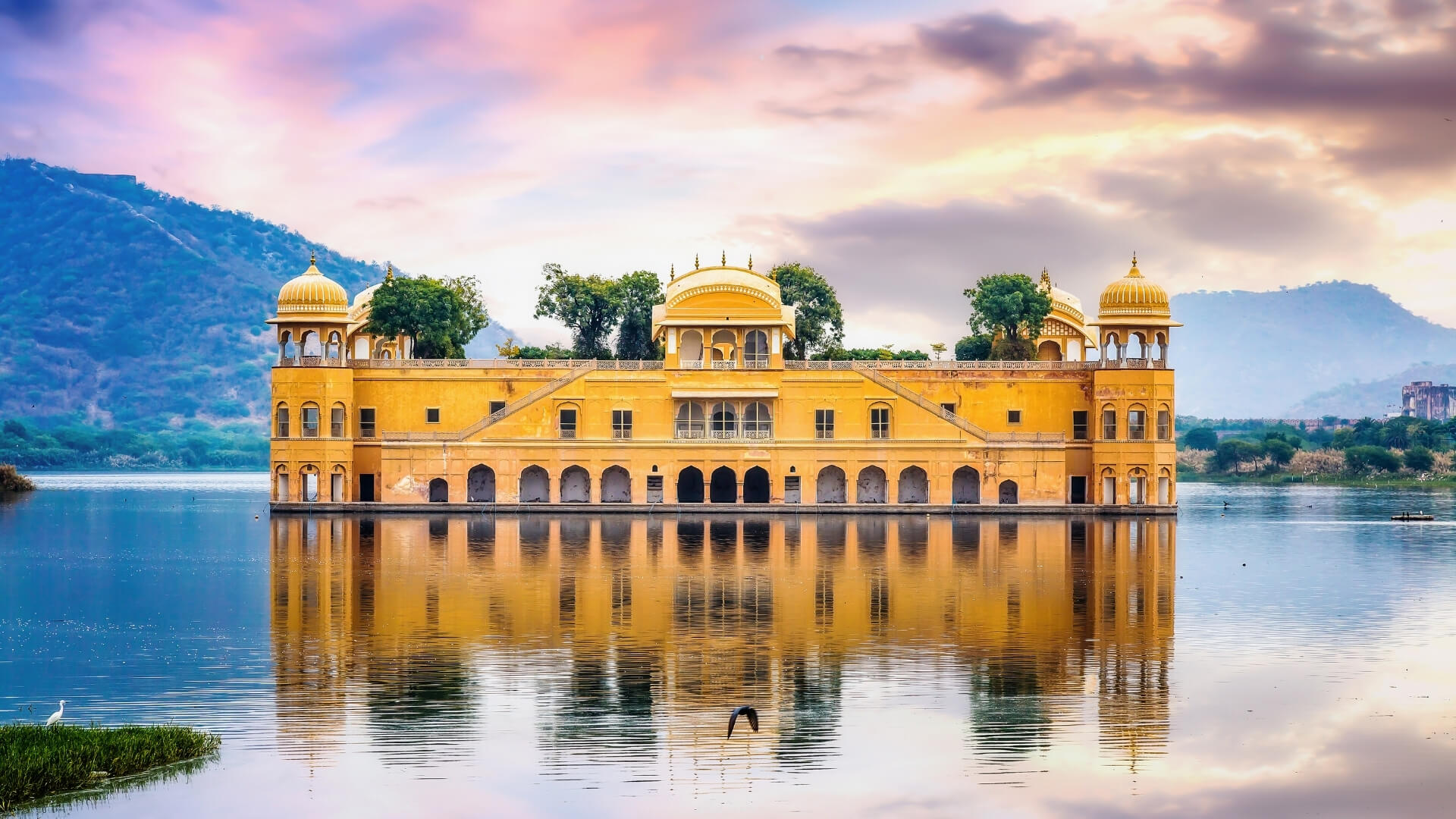 Untitled design (82)