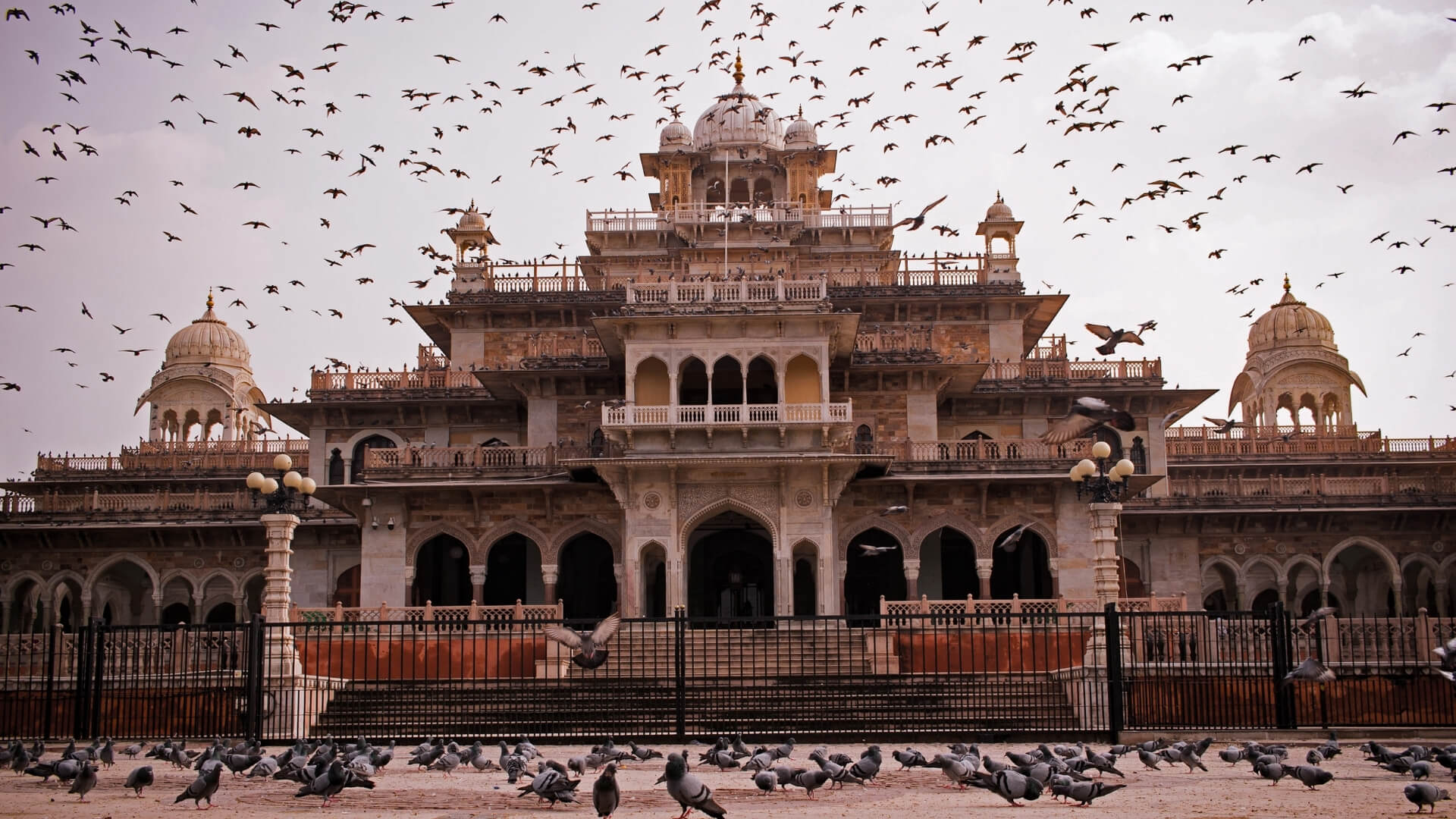 Untitled design (84)